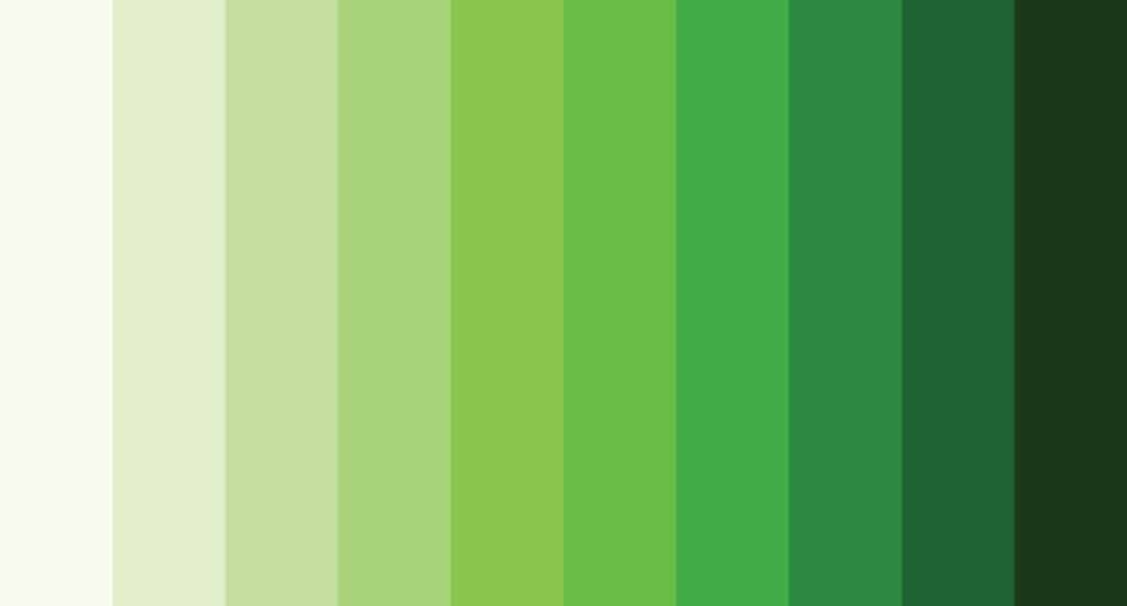  Zaļās krāsas nozīme: uzziniet, ko izteikt ar šo krāsu